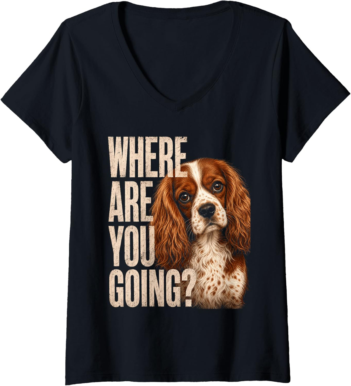 Women's Cavalier King Charles Spaniel Where are You Going Funny Dog V-Neck T-Shirt - Black