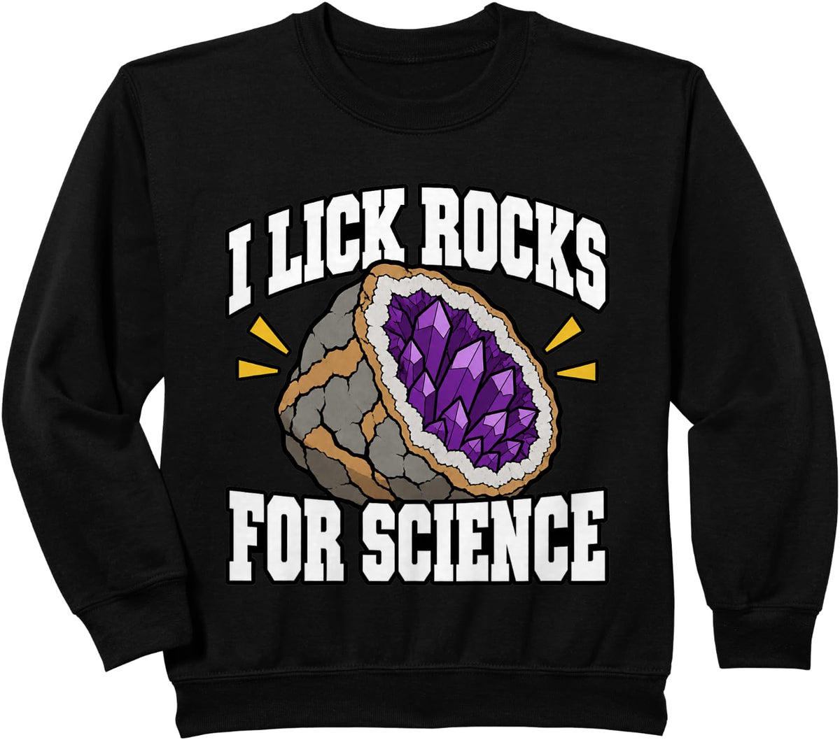 Geology I Lick Rocks For Science Rock Collector Nerd Sweatshirt - Black