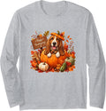 Basset Hound Inside Pumpkin Fall Leaves Thanksgiving Owner Long Sleeve T-Shirt - Adult Unisex Heather Grey