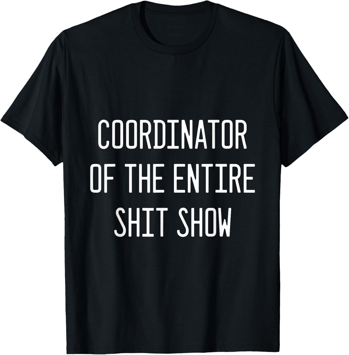 coordinator of the entire shitshow T-Shirt - Black