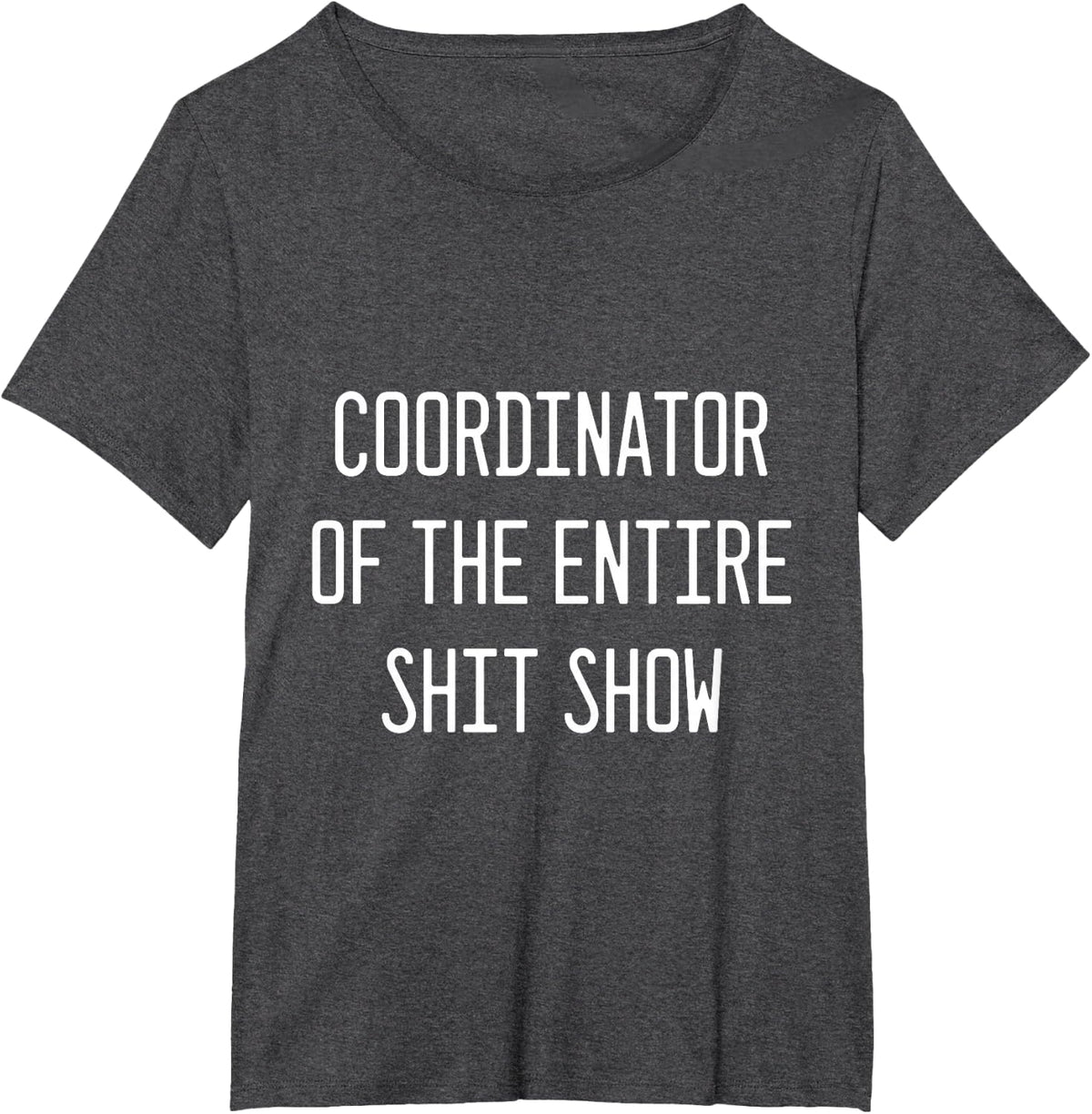 coordinator of the entire shitshow T-Shirt - Dark Heather Grey