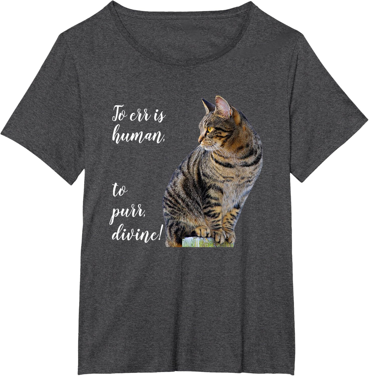 Tabby Cat Inspirational Quote Tees, Gray Kitty Graphic T Shirts for Cat Lovers - Dark Heather Grey